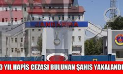 Muş’ta 3 yıl hapis cezasıyla aranan hükümlü yakalandı