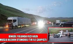 Muşlu aile Bingöl yolunda kaza yaptı: 2'si ağır 3 yaralı