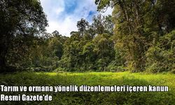 Resmi Gazete’de yayımlandı: Tarım ve orman yeni dönem