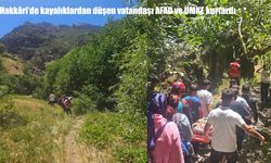 Hakkâri’de kayalıklardan düşen vatandaş kurtarıldı