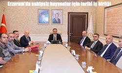 Erzurum’da sahipsiz hayvanlar için tarihî iş birliği