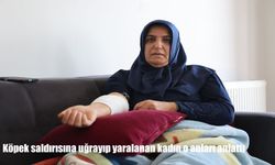 Elazığ'da köpek saldırısına uğrayan kadın yaşadığı dehşeti anlattı