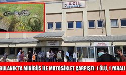 Bulanık'ta feci kaza: 1 ölü, 1 yaralı