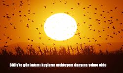 Bitlis'te gün batımında binlerce kuş gökyüzünde görsel şölen oluşturdu