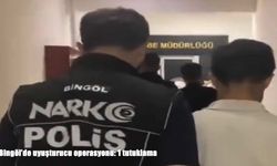 Bingöl'de uyuşturucu operasyonu: 1 tutuklama