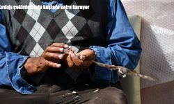 Kırdığı çekirdeklerle kuşlara sofra kuruyor