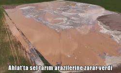 Ahlat'ta çiftçinin bir yıllık emeği sular altında kaldı