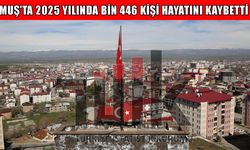Muş’ta en çok ölüme neden olan hastalık belli oldu: 1 yılda 1446 kişi hayatını kaybetti
