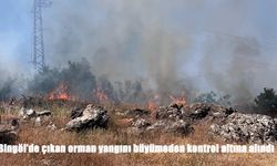Bingöl’de çıkan orman yangını büyümeden kontrol altına alındı