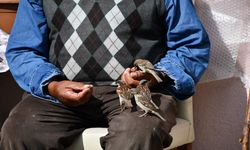 Kırdığı çekirdeklerle kuşlara sofra kuruyor