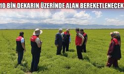 Muş Ovası bu projeyle bereketlenecek: 165 ton tohum toprakla buluşuyor!