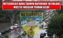 Muş yağışlı havanın etkisine giriyor: İşte 5 günlük hava tahmin raporu