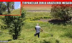 Muş’ta ot biçme sezonu başladı