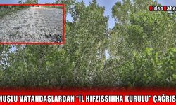 Muş’ta polenler arttı, vatandaşlar isyan etti: Dışarı çıkamaz hale geldik
