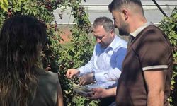 Siirt'te özel bireyler ile çocuklar birlikte böğürtlen topladı