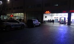 Malatya'da dut ağacı nedeniyle çıkan kavgada 2 kişi tutuklandı