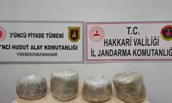 Yüksekova'da 11 kilo 350 gram skunk ele geçirildi
