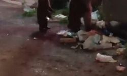 Kars'ta ayılara söylediği türkü sosyal medyada ilgi gördü