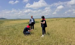 Kars'ta fırtına ve dolunun vurduğu köylerde hasar tespiti başladı
