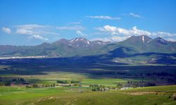 İşte Erzurum'un tarım karnesi