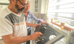 Arızanın nedeni şoke etti: Aspiratörün pervanesinde kuş bulundu