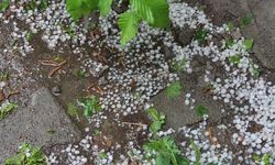 Ardahan'da sağanak ve dolu yağışı tarım arazilerine zarar verdi