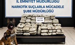 Hakkari'de 57 Kilo Skunk Ele Geçirildi: 1 Gözaltı