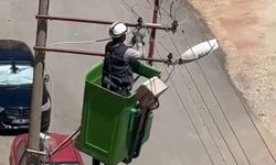 Elektrik tellerine takılan güvercin ekiplerin müdahalesiyle kurtarıldı