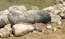 Tunceli'de koca engerek yılanı görüntülendi