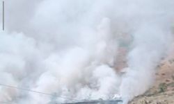 Bitlis'te dağlık alanda yangın: Binlerce arı telef oldu
