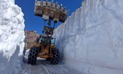 Temmuz ayında 6 metrelik karda yol açma çalışması