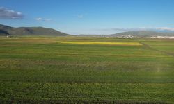 Yazın renk cümbüşüne bürünen Ardahan ovası havadan görüntülendi