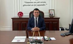 Patnos Kaymakamı Dertlioğlu: "Başıboş sokak köpeklerinin toplanmasında ciddi mesafe katettik"