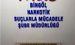 Bingöl'de 600 fişek ele geçirildi: 1 tutuklama