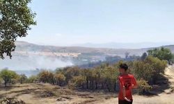 Elazığ'da mahallede çıkan yangın kontrol altına alındı