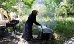 Kemaliye'nin geleneksel dut pekmezi üretimi başladı