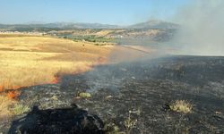 Bingöl’de arazi yangını ekiplerin müdahalesiyle söndürüldü