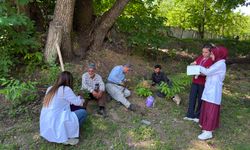 Hakkari’de kanser taraması