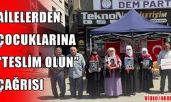 Muş’ta evlat nöbeti kararlılıkla sürüyor: "Yeter artık, gelin teslim olun"