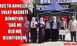 Muş'ta anne yüreğinin çığlığı: "11 yıldır bu hayatı bize zehir ettin, dön gel evladım"