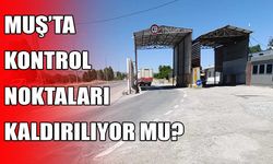 Muş’ta “Terörsüz Türkiye” hedefiyle kontrol noktalarında düzenleme