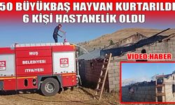 Korkut’ta ahır yangını: 6 kişi hastaneye kaldırıldı