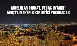 VEDAŞ’tan Muş’a planlı elektrik kesintisi uyarısı
