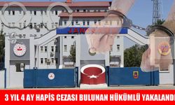 Muş’ta aranan dolandırıcılık hükümlüsü yakalandı