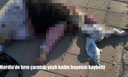 Mardin’de tırın çarptığı kadın hayatını kaybetti