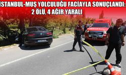 İstanbul’dan Muş’a gelen ailenin aracı kaza yaptı: 2 ölü, 4 yaralı