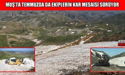 Muş’un zirvelerinde kar temizleme, köylerde asfalt çalışmaları sürüyor
