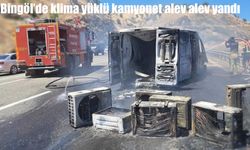 Bingöl'de klima yüklü kamyonet alev alev yandı