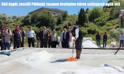 Vali Aygöl, tescilli Pülümür tuzunun üretimine kürek sallayarak eşlik etti