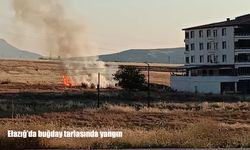 Elazığ'da buğday tarlasında yangın: Ekipler seferber oldu